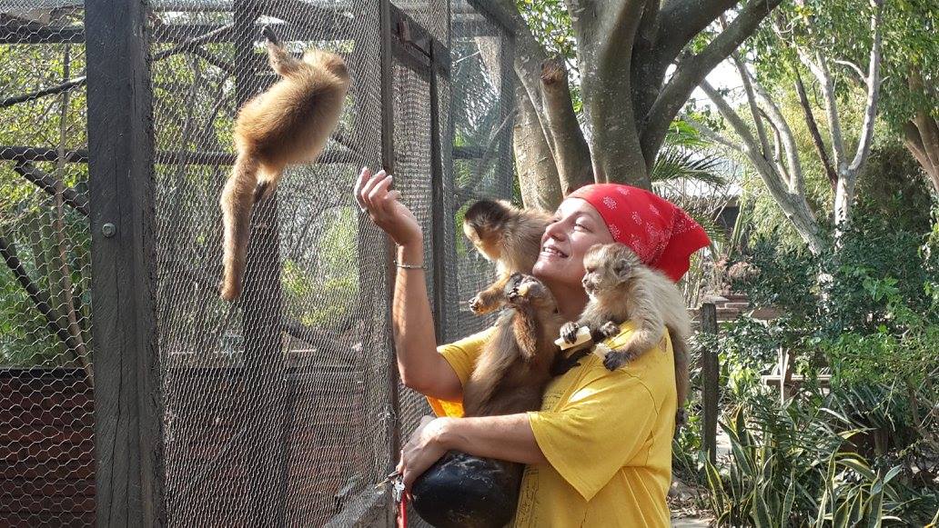 South America Inside Custody Center For Wildlife