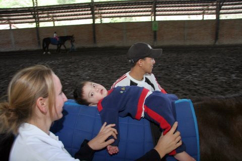 Freiwilligenarbeit in der Pferdetherapie Chile