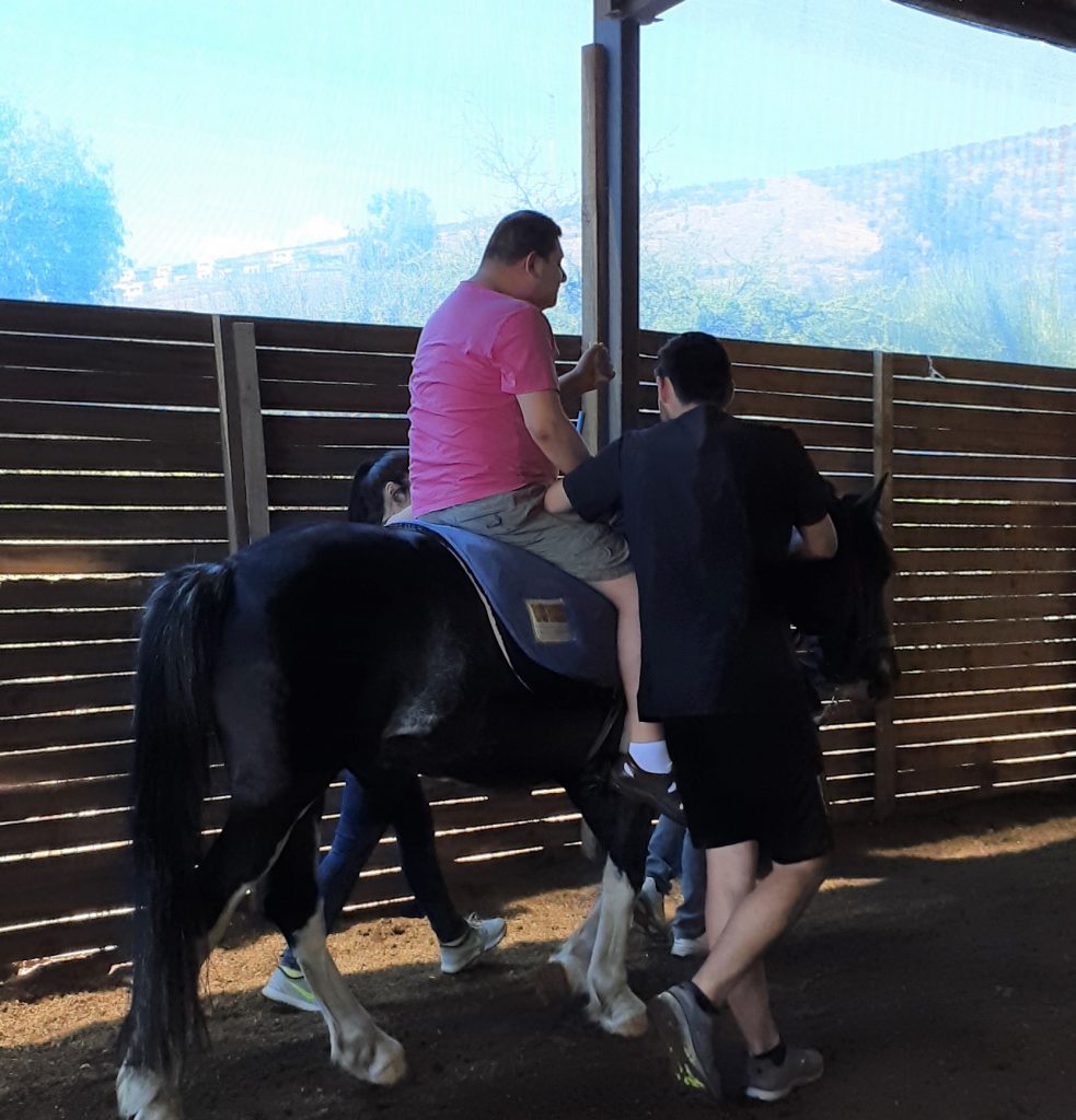 Freiwilligenarbeit in der Pferdetherapie Chile