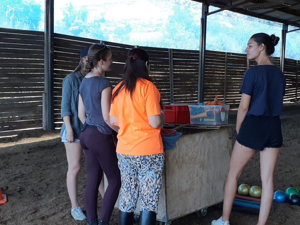 Freiwilligenarbeit in der Pferdetherapie Chile