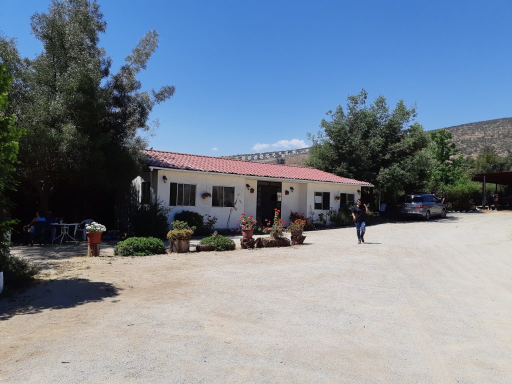 Freiwilligenarbeit in der Pferdetherapie Chile