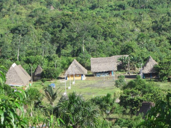 Freiwilligenarbeit Artenschutz Peru