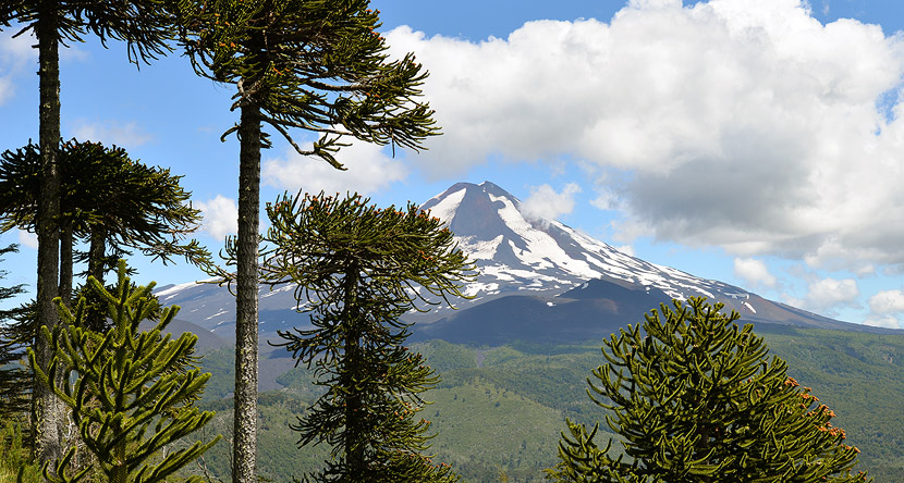 Chile