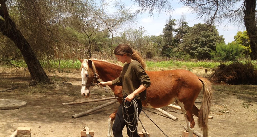 Peru Farm Stay