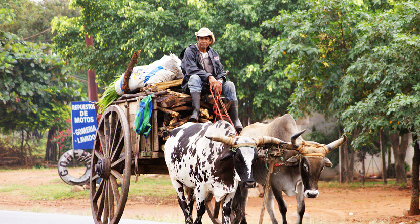 Sprachreise Paraguay